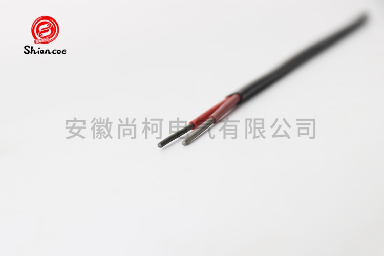 EX-FF 2x1.5平方高温E型补偿电缆