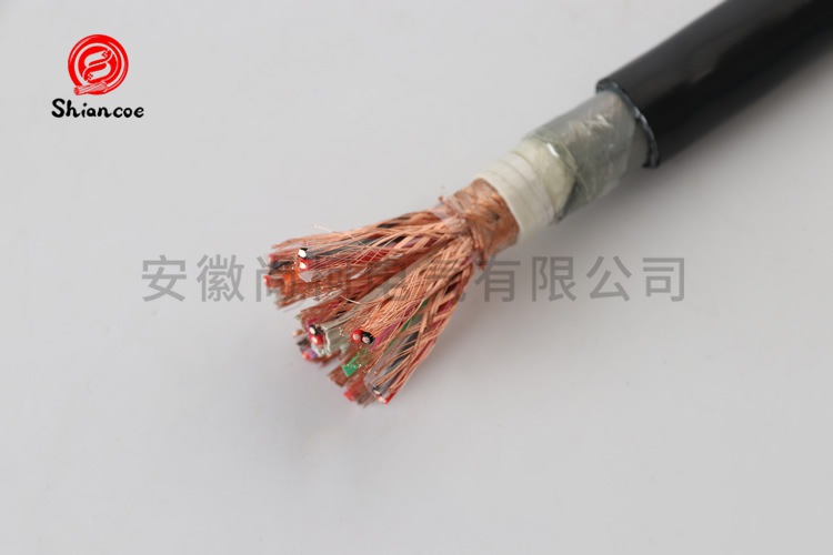DJFPFP22-8x2x1.0平方氟塑料铠装计算机电缆