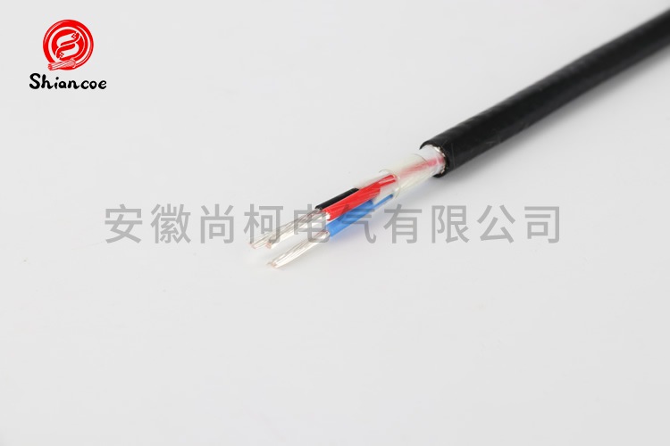 FF 3x1.0平方高温电力电缆
